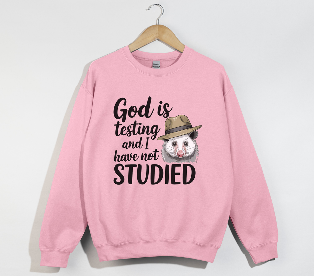 God Is Testing And I Have Not Studied - Sweatshirt