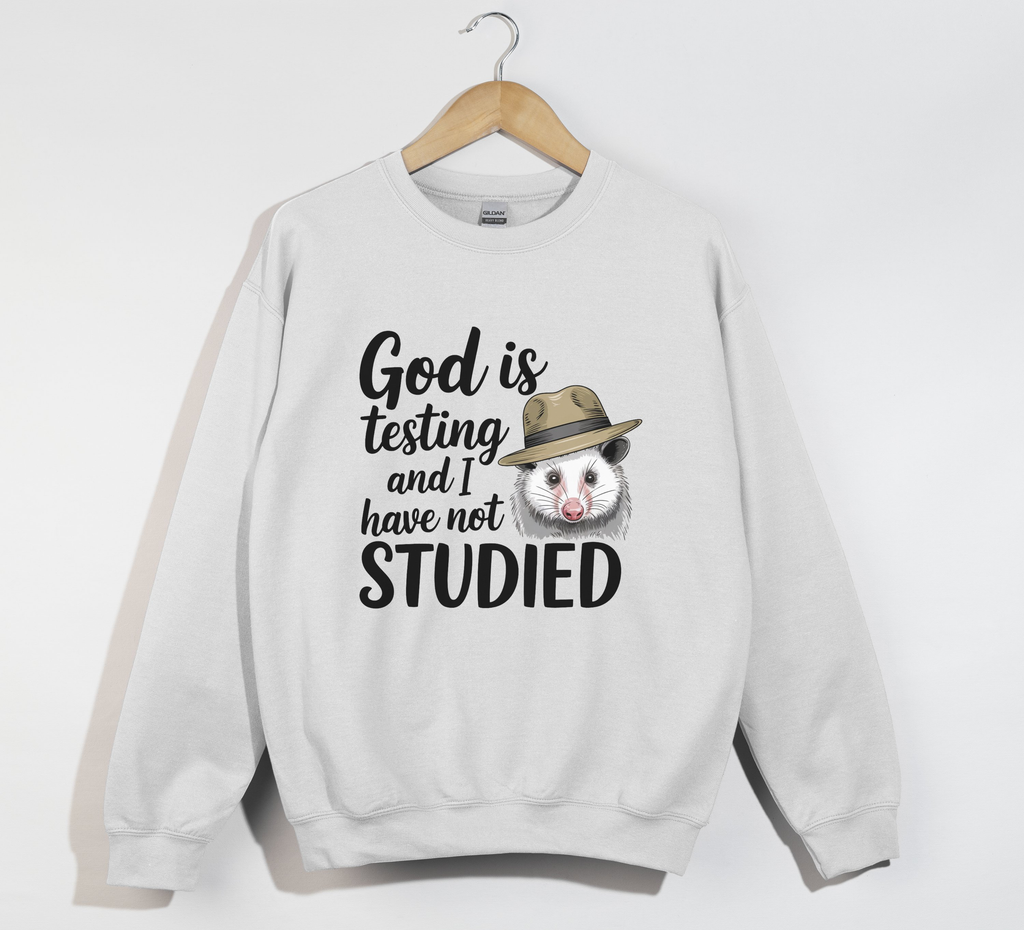God Is Testing And I Have Not Studied - Sweatshirt