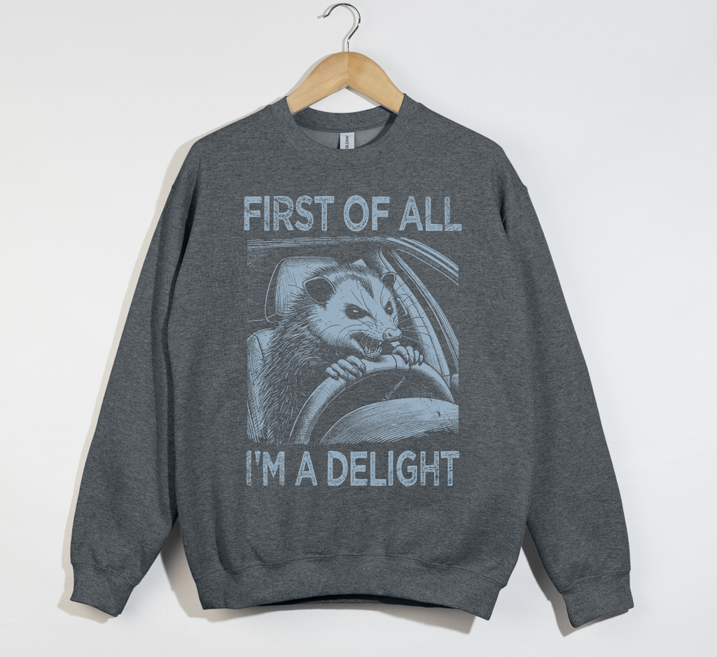 First Of All, I'm A Delight - Sweatshirt
