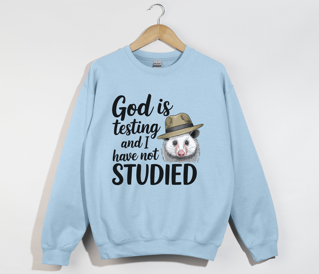 God Is Testing And I Have Not Studied - Sweatshirt