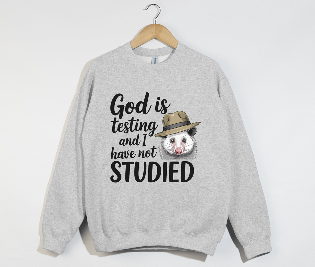 God Is Testing And I Have Not Studied - Sweatshirt