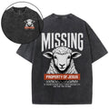 Property Of Jesus Christian Washed T-Shirt