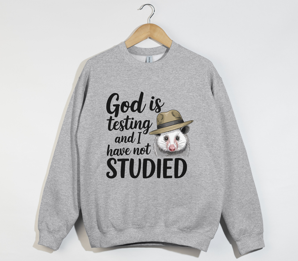 God Is Testing And I Have Not Studied - Sweatshirt