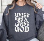 Living Proof Of A Loving God - Sweatshirt