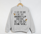 If God Can Make a Bug's Butt Light Up - Sweatshirt