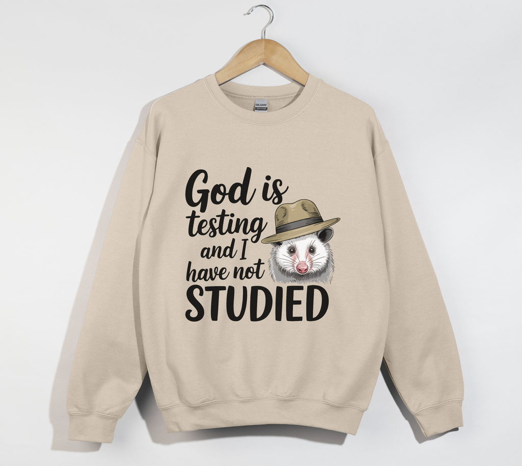 God Is Testing And I Have Not Studied - Sweatshirt