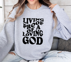 Living Proof Of A Loving God - Sweatshirt